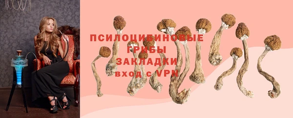 mdpv Козельск