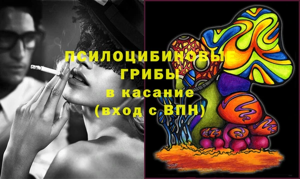 шишки Куйбышев