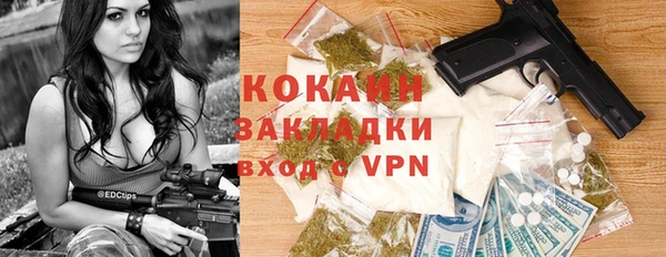 соль ск Козловка