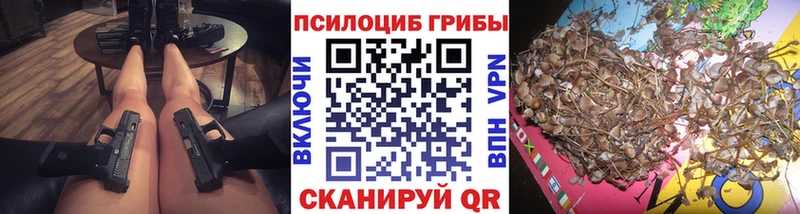 Галлюциногенные грибы Cubensis  Купить закладки  Калтан 